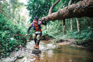 BIB: 
                            <button type="button" onclick="openModal(25368801)" class="btn btn-primary btn-sm float-right btn-popup" data-toggle="modal" data-target=".modal-high-quality">
                        <i class="fas fa-shopping-cart"></i> Add to Cart
                    </button>
                                            <button type="button" onclick="isThisMe(25368801, true)" class="btn btn-success btn-sm float-right btn-popup btn-isme hidden" data-toggle="tooltip" data-placement="bottom" title="นี่คือรูปของคุณใช่ไหม คลิกที่นี่เพื่อเอาเข้าอัลบั้ม">
                        <i class="fas fa-plus"></i> Add to album
                    </button>
                    <button type="button" onclick="isThisMe(25368801, false)" class="btn btn-warning btn-sm float-right btn-popup btn-isnotme hidden">
                        <i class="fas fa-ban"></i> Remove from album
                    </button>